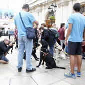 Exhibición de Perros Guía