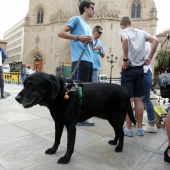 Exhibición de Perros Guía