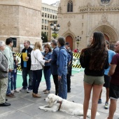 Exhibición de Perros Guía