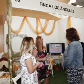 Castellón, Feria Tu Boda 2017