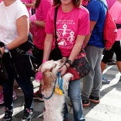 Marcha contra el cáncer de mama