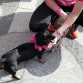 Marcha contra el cáncer de mama