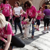 Marcha contra el cáncer de mama