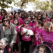 Marcha contra el cáncer de mama