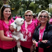 Marcha contra el cáncer de mama