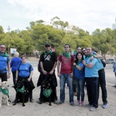 Romería de perros guía