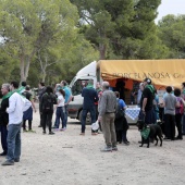 Romería de perros guía