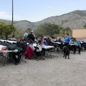 Romería de perros guía