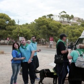 Romería de perros guía