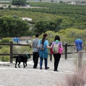 Romería de perros guía