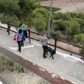 Romería de perros guía