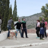 Romería de perros guía