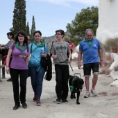 Romería de perros guía