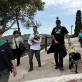 Romería de perros guía