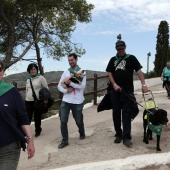 Romería de perros guía