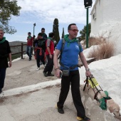 Romería de perros guía