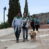 Romería de perros guía