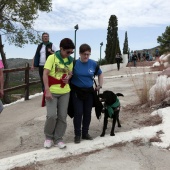 Romería de perros guía