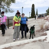 Romería de perros guía