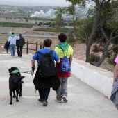 Romería de perros guía