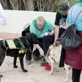 Romería de perros guía