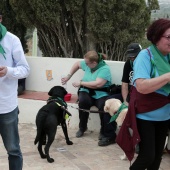 Romería de perros guía