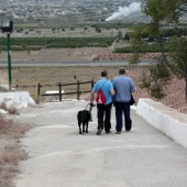 Romería de perros guía