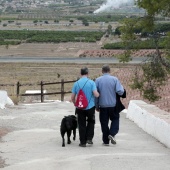 Romería de perros guía