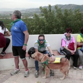 Romería de perros guía