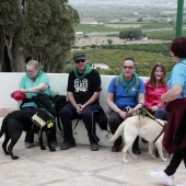 Romería de perros guía