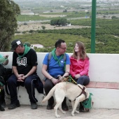 Romería de perros guía