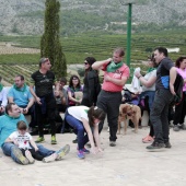 Romería de perros guía