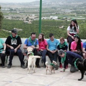 Romería de perros guía