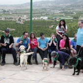 Romería de perros guía