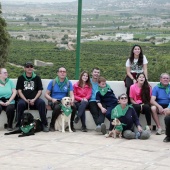 Romería de perros guía