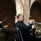 Concierto Día de la Constitución