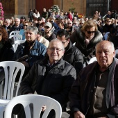 Concierto Día de la Constitución