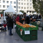 Jornadas Gastronómicas de la Naranja