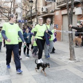 Marcha contra el Cáncer