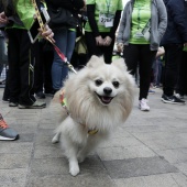 Marcha contra el Cáncer