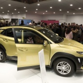 Hyundai Kona en Agrocastalia