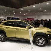 Hyundai Kona en Agrocastalia