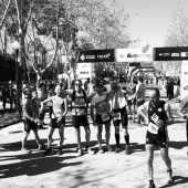 VIII Marató BP Castelló