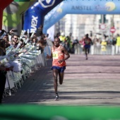 VIII Marató BP Castelló