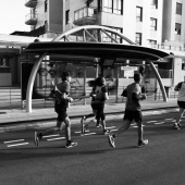 VIII Marató BP Castelló