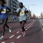 VIII Marató BP Castelló