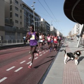 VIII Marató BP Castelló