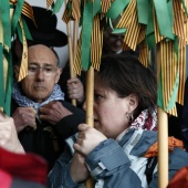 Romeria de les Canyes