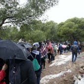 Romeria de les Canyes