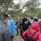 Romeria de les Canyes